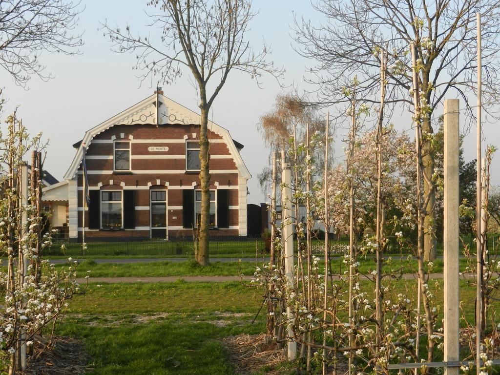 B&B De Bloesemgaard Eck en Wiel Экстерьер фото